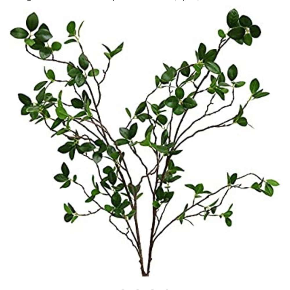 Htmeing eucalyptus branches x2